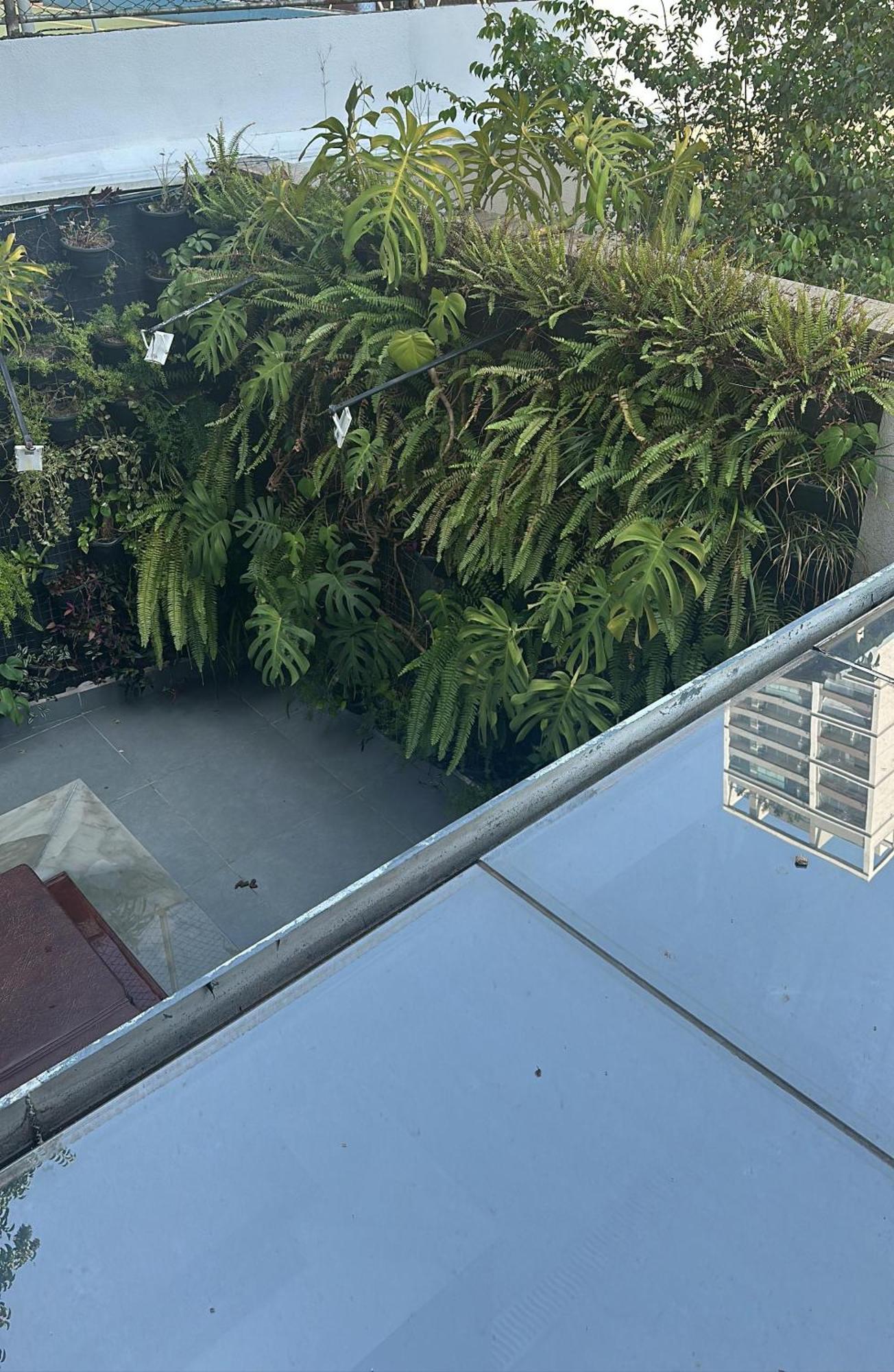 Allianz Parque , Perdizes Sao Paulo Exterior photo